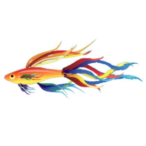 Painted Streamer Fish